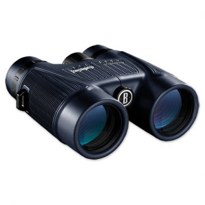 Bushnell H2O 10x42